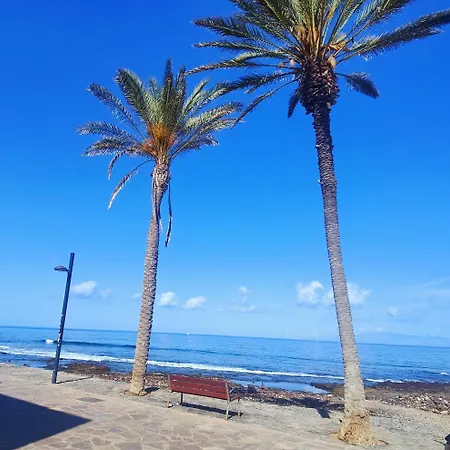 Sarah Parque Santiago I * Playa de las Americas (Tenerife)